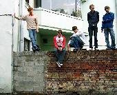 The Fops